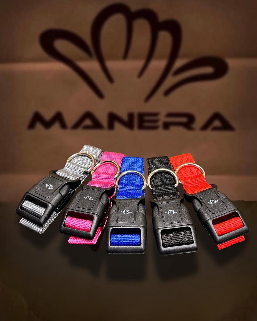 Gadget Manera Pub